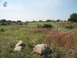 October 02 2009