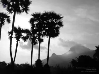 1978 - Tiruvannamalai