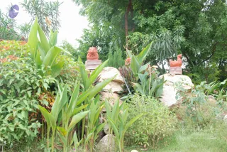 July 08 2010