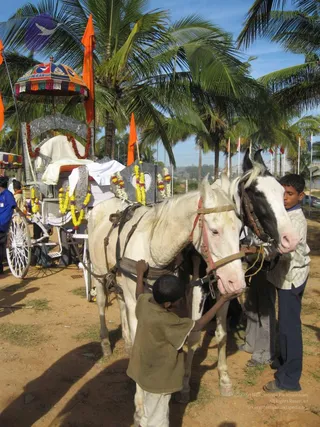 20071225 Photo 1040 10GQYvTDHOy479417PQ7lmSRec4QowJrx.JPG