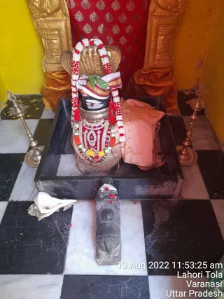Photo 6679609