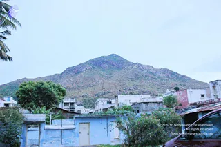 A rocky hill rises behind a cluster of low white and pale blue houses in a town. A palm tree stands at the left edge and a leafy green tree and flowering shrubs sit in the foreground. A red car is partly visible at the lower right. The sky is overcast and pale.