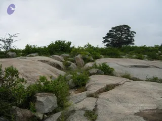 October 01 2006