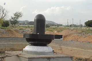 November 19 2008