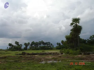 October 29 2006