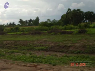 October 29 2006