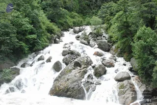 July 02 2008