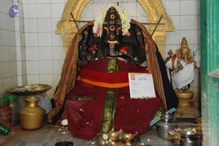 August 08 2009