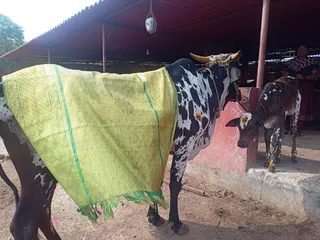 Jan 17 2022 sripuram
