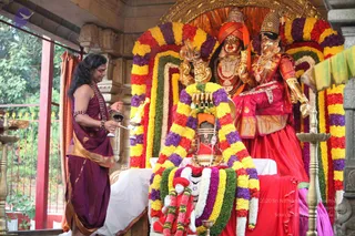 Temple puja scene in a shrine with a red-pillared open pavilion and greenery beyond the grille. A man with long dark hair and a rudraksha mala wears a maroon dhoti and matching shawl with gold border, holding a small bell and a ritual vessel as he performs worship. Before him, a large deity murti with an orange headcloth and gold ornaments sits on a white-draped platform, heavily garlanded in red, yellow, purple and white flowers. Behind, two gold-faced deity figures in red and orange garments stand in an arched niche wreathed with the same multicolored garlands. Brass oil lamps flank the platform.