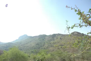 1978 - Tiruvannamalai - InnerGirivala