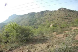 1978 - Tiruvannamalai - InnerGirivala