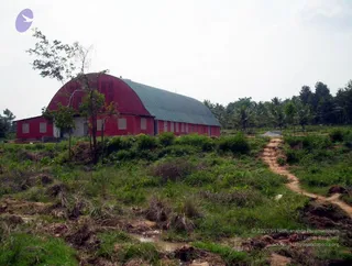 2005 - View-of-Ananda-Sabha-Construction