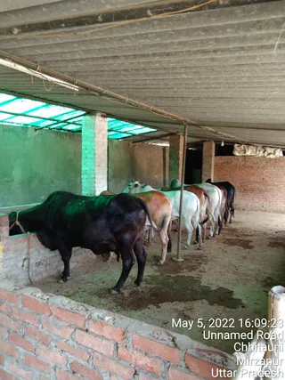 Photo 6679821