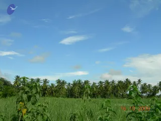 October 16 2006
