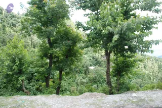 June 29 2008
