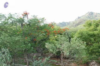 August 01 2008