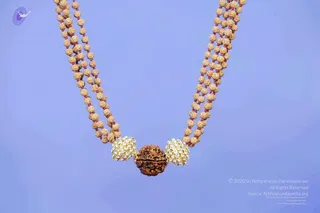 2011 PhotoAbum galleria 7563 CMP WM.jpg