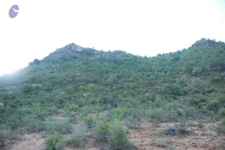 August 05 2009