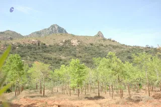 1978 - Tiruvannamalai - InnerGirivala
