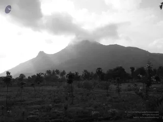 1978 - Tiruvannamalai