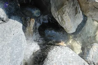 July 03 2008
