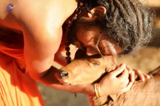 A close photograph of a bare-chested man in an orange cloth wrap leaning forward to press his face against the head of a brown calf. He has long dreadlocked hair, a rudraksha mala of dark beads around his neck, and a white line marking on his forehead. His hands cradle the calf's muzzle, and gold bangles show on his wrist. Warm golden sunlight falls across the scene, with dry ground visible behind the animal. a person: the bare-chested figure with dreadlocks, rudraksha mala and orange cloth matches the page's reference to a gau puja and animal blessing, and is shown in person.