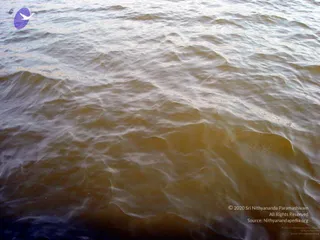 January 06 2006