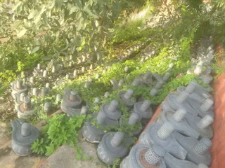 June 01 2021