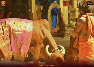 ADIKAILASA on 3/10/2022