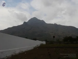 1978 - Tiruvannamalai