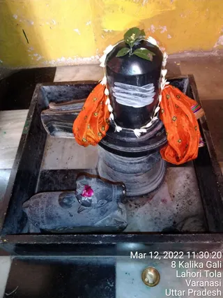 KASHI-SARVAJNAPEETAM-2022-03-12-1j6 ovt4gbyqueV5EnKk4iR3Fw3b-d--2.jpg