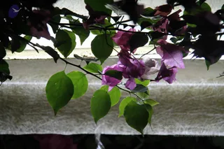 September 04 2011
