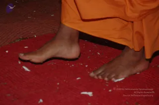 November 12 2006 Salem Aadheenam Inauguration