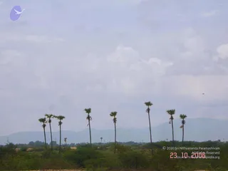 October 23 2006