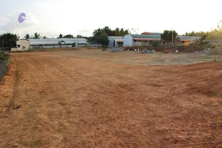 November 20 2008