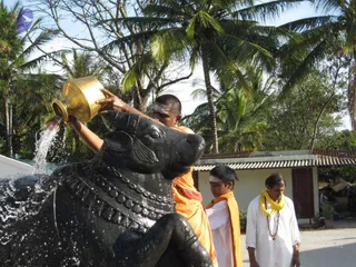 March 05 2008