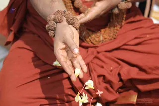 Close-up photo of a seated person in red-orange saffron robes, with a rudraksha bracelet of large brown beads on the right wrist and a rudraksha mala necklace. The hands are open, palm up, with white and yellow flower petals scattered on the lap and cloth. Only the hands, wrists, torso and lap are visible; the face is not shown. a person cannot be confirmed from this framing, so the figure is described only by role as a seated devotee in saffron.