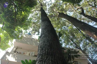April 07 2008