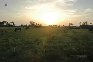 April 2008 - Making Of Kailaasa In Tiruvannamalai