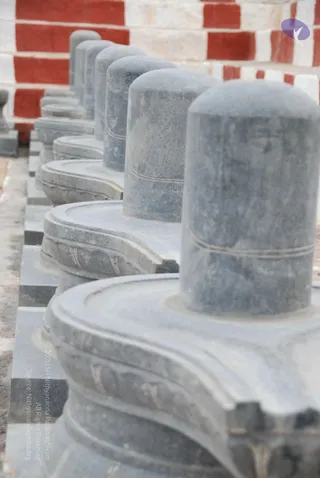 July 20 2009