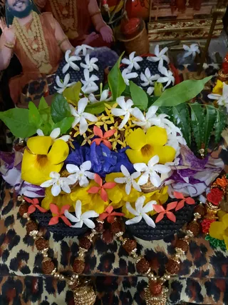 Photo 6680136