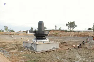 November 19 2008