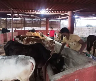 Jan 26 2022 sripuram
