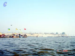 January 08 2006