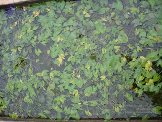 October 01 2006