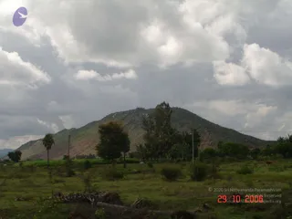 October 29 2006