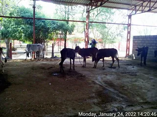January 24 2022
