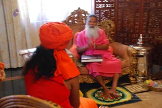 A seated man with long white beard and hair wears a pink robe and sits on an ornate gilded wooden throne with carved lion-head arms and a patterned rug beneath his bare feet. He holds a closed book in his lap and gestures with his hands while speaking. In the foreground, a person from behind wears a long orange-red turban and orange garment with long dark hair. A carved dark wooden screen stands behind the throne, with a silver urn and a fruit basket at the right edge. Sheer curtains light the room from a window at left.