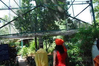 October 29 2008